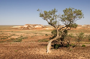 South Australia Prints: The Breakaways, Painted Desert, Coober Peedy, South Australia, Australia, Pacific