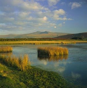 Brecon Beacons