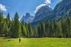 Brenta Mountain range, Rendena Valley, Trentino, Italy, Europe
