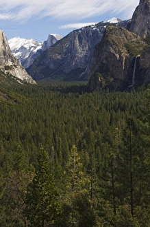 Images Dated 21st January 2000: Bridal Veil Falls and Half Dome Peak in Yosemite Valley