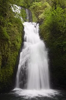 Images Dated 26th August 2009: Bridal Veil Falls State Park in the Columbia River Gorge, Greater Portland Region