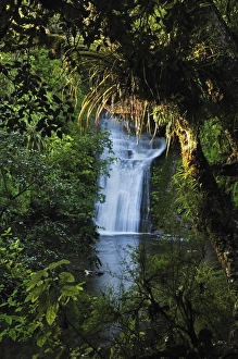 Bay Of Plenty Prints: Bridal Veil Falls, Te Urewera National Park, Bay of Plenty, North Island