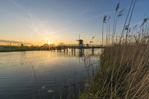 Traditionally Dutch Prints: Bridge over the canal with windmills and reeds in the foreground, Kinderdijk, UNESCO