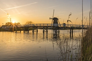 Traditionally Dutch Prints: Bridge over the canal with windmills and reeds in the foreground at sunset, Kinderdijk