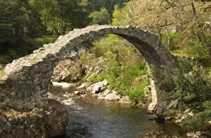 Stream Collection: The Bridge of Carr, built in 1717, Carrbridge, Inverness-shire, Highlands
