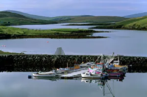 Shetland Prints: Bridge End