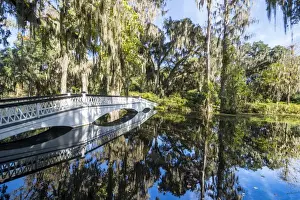 Charleston Prints: Bridge refelcting in a pond in the Magnolia Plantation outside Charleston, South Carolina