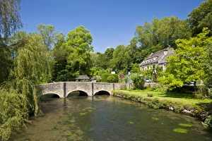 River Bank Prints: Bridge over River Coln, Bibury