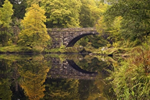 Autumn Scene Prints: Bridge over River Conwy in autumn, near Betwys-y-Coed, Wales, United Kingdom, Europe