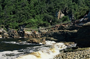 Garden Route Prints: Bridge over Storms River mouth in the Tsitsikamma National