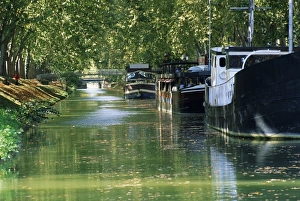 Sun Beam Prints: Brienne Canal, Toulouse, Haute-Garonne, Midi-Pyrenees, France, Europe