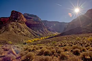 Bright Angel Canyon viewed north of the south rim with bright yellow trees in