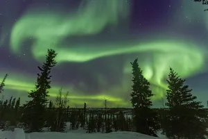Northern Prints: Bright aurora borealis displays over a forest at Great Slave Lake in Northwest Territories