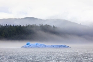 Meteorological Prints: Bright blue iceberg from Mendenhall Glacier, surrounded by mist on Mendenhall Lake