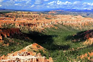 Bryce Prints: Bright colors and vast landscapes in Bryce Canyon with rocky formations and green trees under a blue sky in Utah