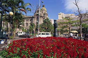 Durban Prints: Bright flowers before the City Hall