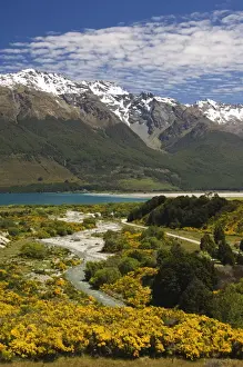 Queenstown Prints: Bright summer flowers and snow capped mountains near Queenstown