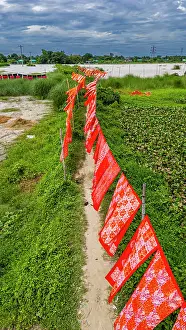 Hanging Prints: Brightly colored cloths dry in the sun along a pathway in a rural area in Bangladesh