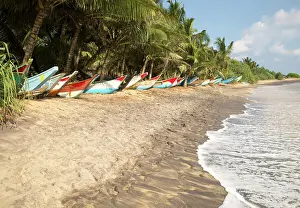 Fisherman Prints: Brightly coloured fishing canoes under coconut palm trees of tropical sandy beach