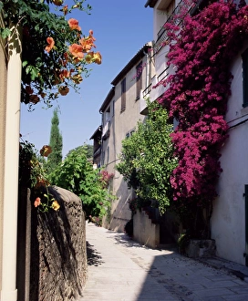 Scaling Prints: Brightly coloured flowers in village street, Grimaud, Var, Cote d Azur