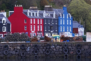 Brightly coloured houses at the fishing port of Tobermory, Isle of Mull