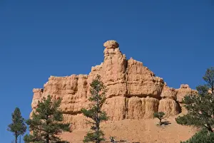 Hoodoos Prints: Brilliantly coloured hoodoos, Claron Limestone Formations