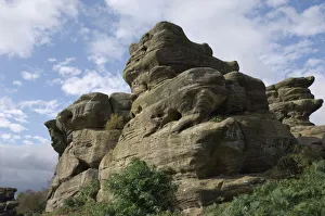 Images Dated 25th September 2009: Brimham Rocks, Brimham Moor, near Ripon, North Yorkshire, England, United Kingdom, Europe