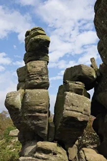Images Dated 25th September 2009: Brimham Rocks, Brimham Moor, near Ripon, North Yorkshire, England, United Kingdom, Europe