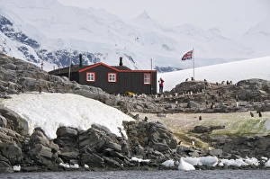British Base and Post Office, Port Lockroy, Antarctic Peninsula, Antarctica British Base and Post Office, Port Lockroy, Antarctic Peninsula, Antarctica