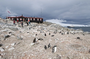 Images Dated 22nd February 2009: British Base and Post Office, Port Lockroy, Antarctic Peninsula, Antarctica