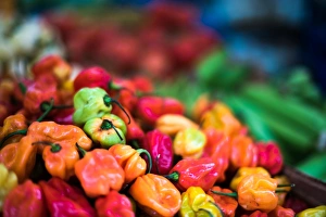 Brixton Market, London, England, United Kingdom, Europe