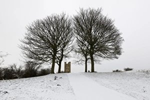 Footpath Prints: Broadway Tower framed by bare trees in snow, Broadway, Cotswolds, Worcestershire