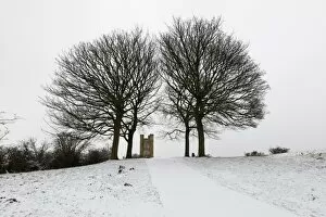 Worcestershire Collection: Broadway Tower framed by bare trees in snow, Broadway, Cotswolds, Worcestershire