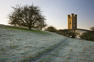Worcestershire Prints: Broadway Tower on frosty morning