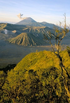 Volcanoe Prints: Bromo-Tengger-Semeru National Park at dawn