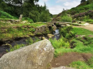 Heather Prints: Bronte Bridge on Haworth Moor, Yorkshire, England, United Kingdom, Europe