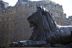 Trafalgar Square Prints: Bronze lion statue by Sir Edwin Landseer