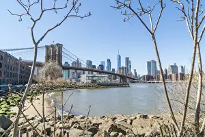 East River Prints: Brooklyn Bridge and Manhattan skyline seen from Brooklyn Bridge Park