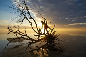 Kids Prints: Brother and sister on the branches of a dead tree at Jockeys Ridge State Park, Nags Head