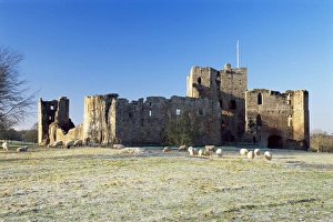 Eden Valley Prints: Brougham Castle, Eden Valley, Cumbria, England, United Kingdom, Europe