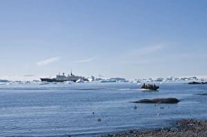 Brown Bluff, Antarctic Peninsula, Antarctica, Polar Regions