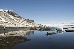 Images Dated 20th February 2009: Brown Bluff, Antarctic Peninsula, Antarctica, Polar Regions