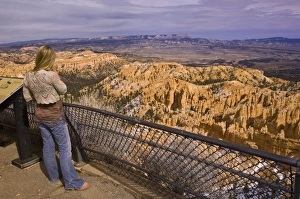 Bryce Canyon National Park, Utah, United States of America, North America