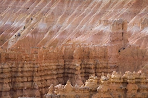 Images Dated 21st November 2007: Bryce Canyon National Park, Utah, United States of America, North America