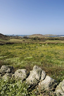 Scillies Prints: Bryer (Bryh)