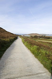 Scillies Prints: Bryer (Bryher)