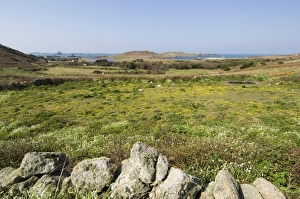 Bryer (Bryher)
