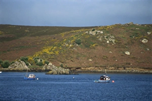 Scillies Prints: Bryer, Isles of Scilly