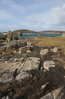 Images Dated 23rd March 2008: Bryer, Isles of Scilly, United Kingdom, Europe