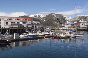 Finnmark Prints: Brygge, Honningsvag, Finnmark, Norway, Scandinavia, Europe